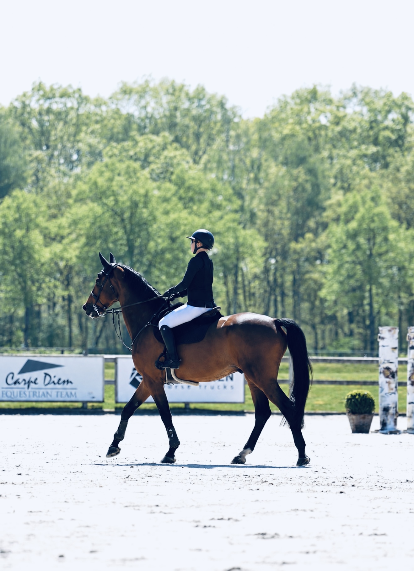 Bay sport horse and rider working calmly in an outdoor competition arena